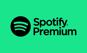 Spotify Premium Digital £30 UK